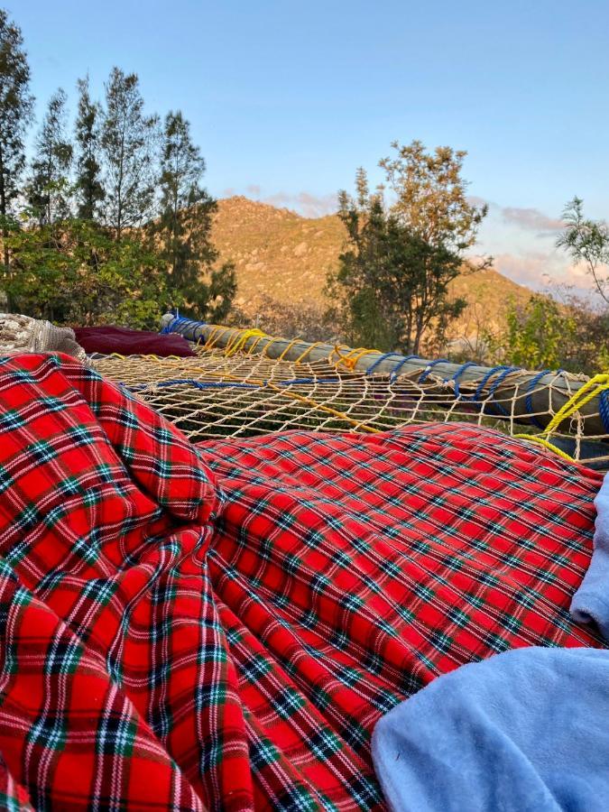 Hidden Valley Backpackers Иринга Экстерьер фото