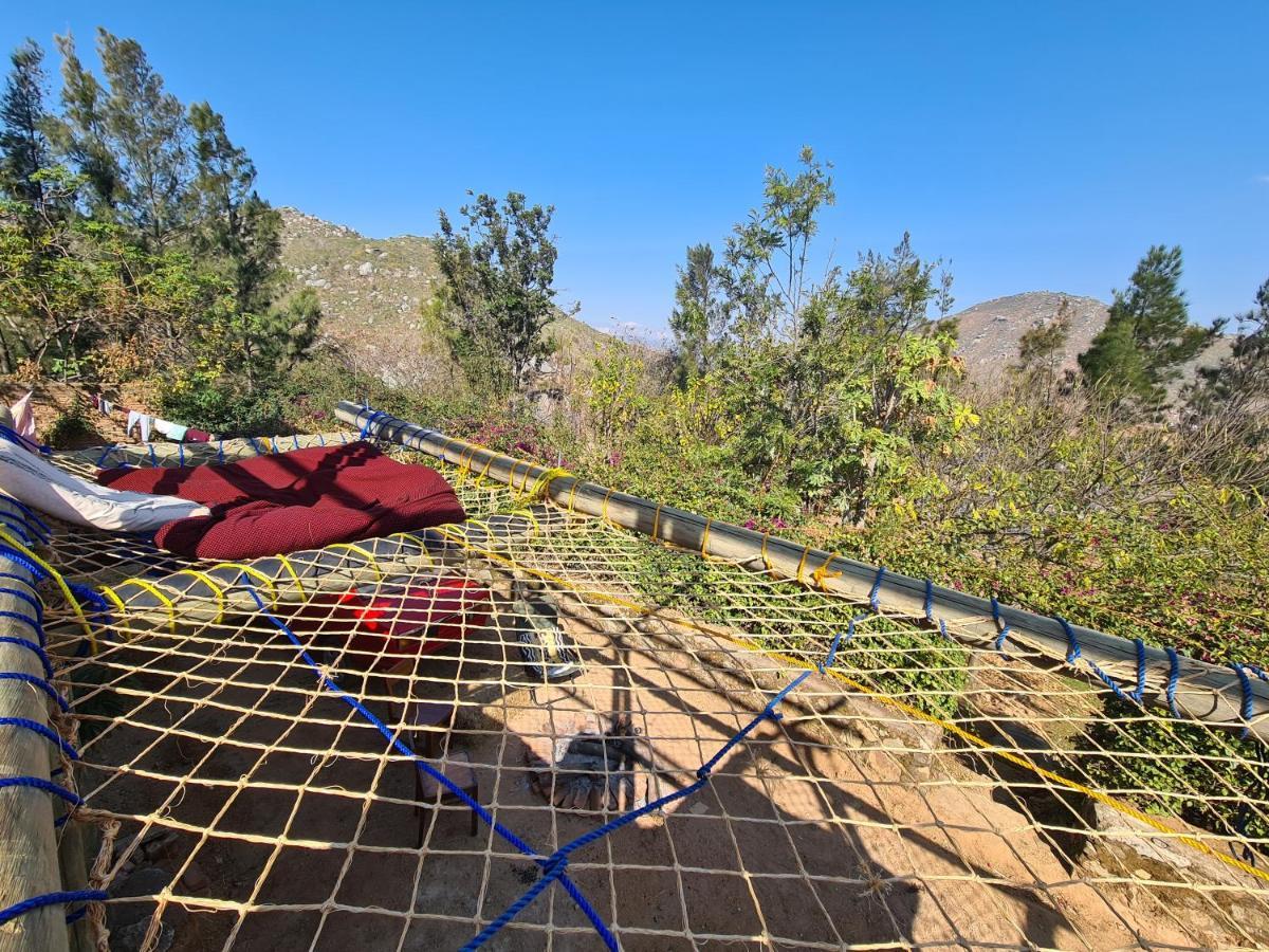 Hidden Valley Backpackers Иринга Экстерьер фото